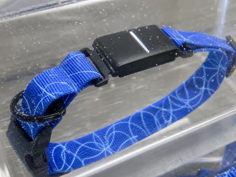 Smart Pet Collar Waterproof Test